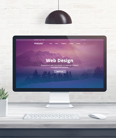 WEB DESIGN